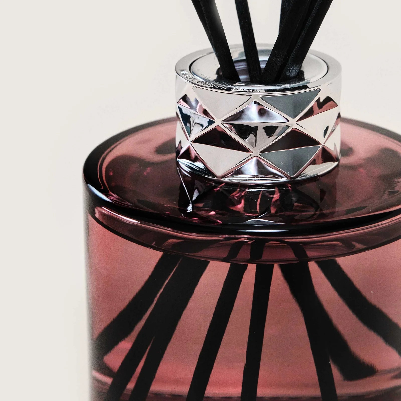 Maison Berger Paris Agaves Garden Joy Scented Reed Diffuser home store living