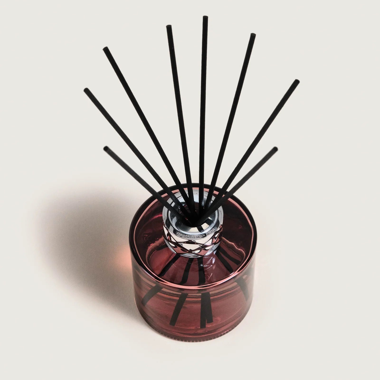 Maison Berger Paris Agaves Garden Joy Scented Reed Diffuser home store living