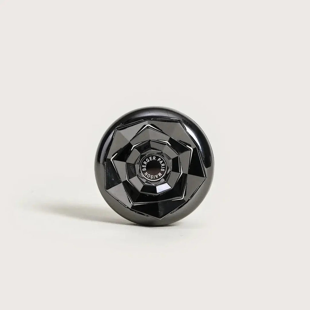 Kali Car Diffuser Maison Berger Paris