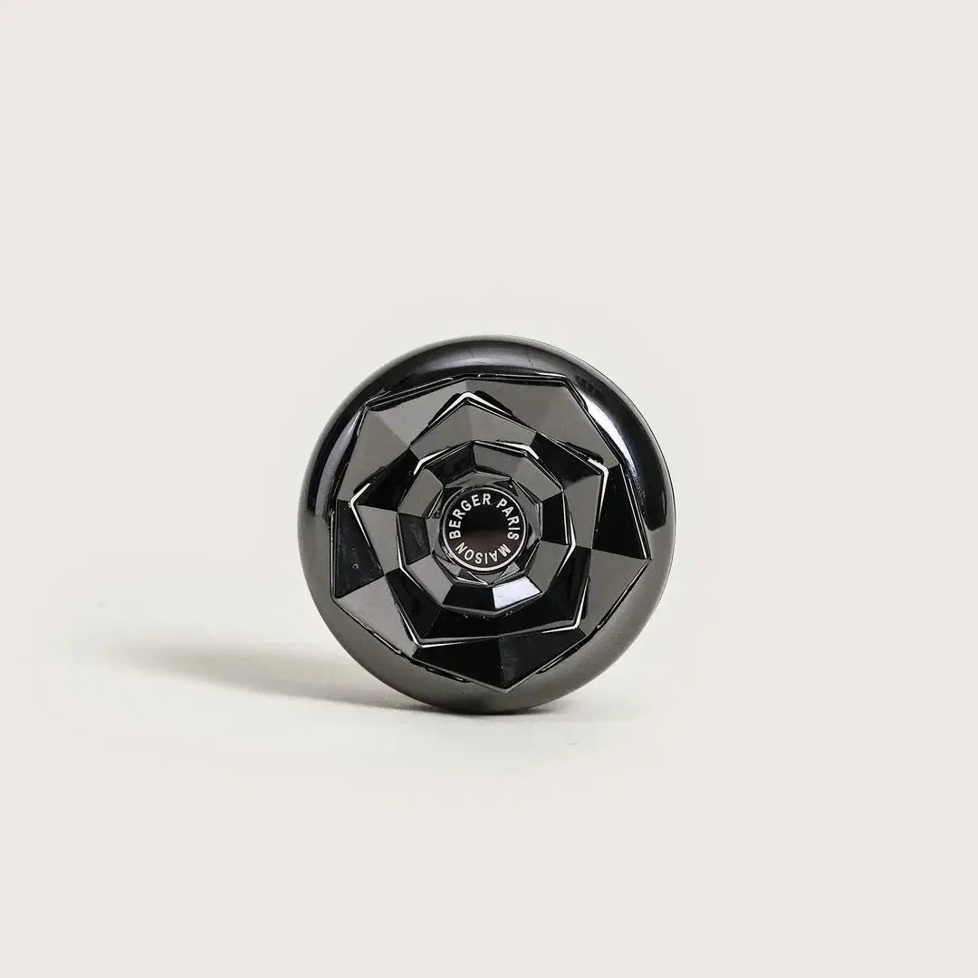 Kali Car Diffuser Maison Berger Paris