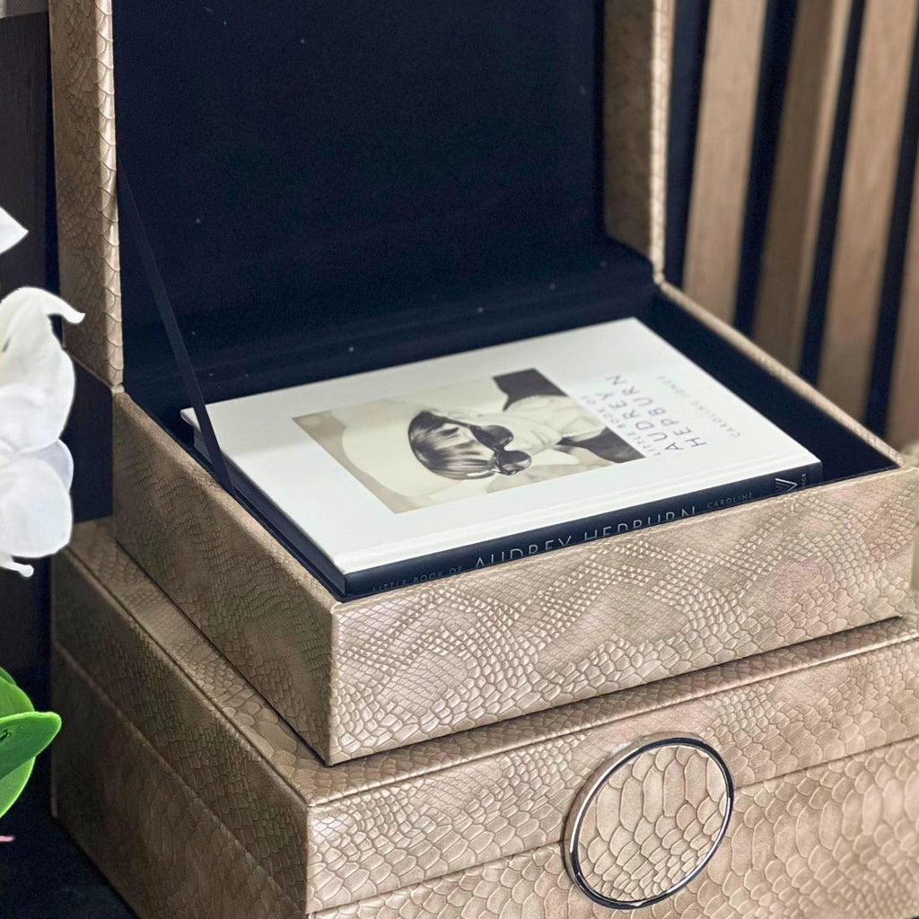 Taupe Faux Snake Leather Storage Boxes (Set of 2) CIMC