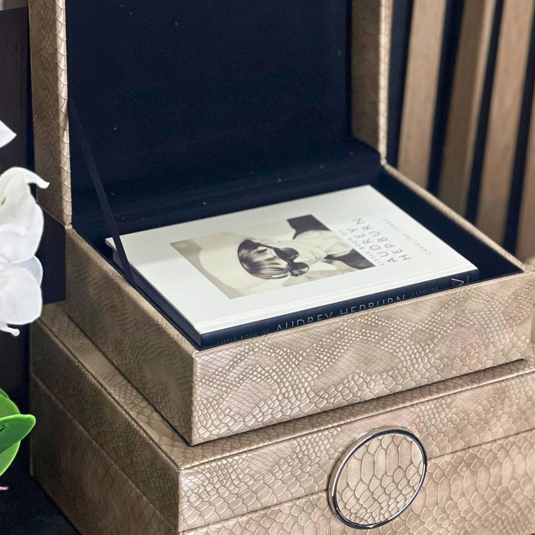 Taupe Faux Snake Leather Storage Boxes (Set of 2) CIMC