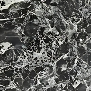 Black Marble
