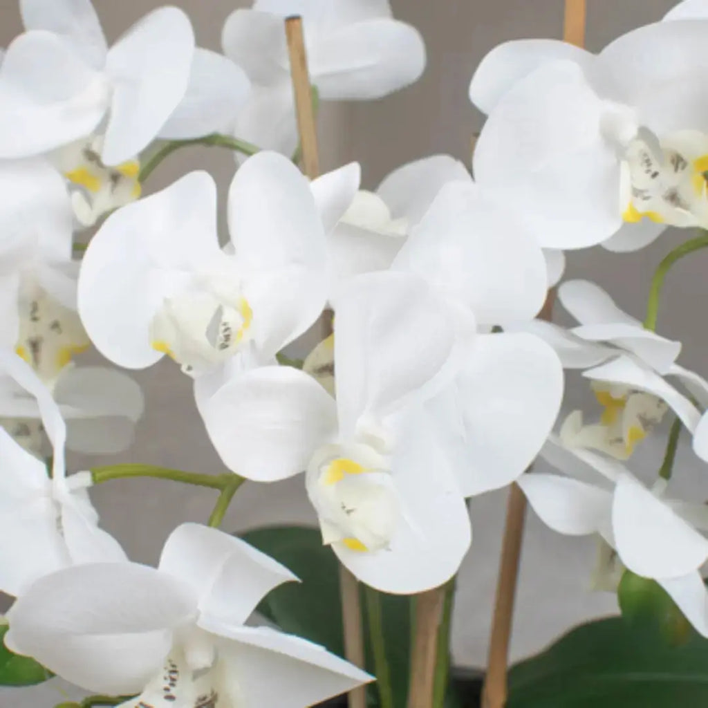 Faux White Orchid in Bamburgh Silver Pot Home Store Living