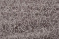 Pisa Smoke - Harper Pillowback Sofa Fabric Sample Home Store Living