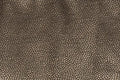 Whimsical Bronze Fabric Sample Home Store Living