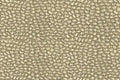 Whimsical Gold Fabric Sample Home Store Living