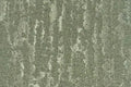 Palmer Gold Fabric Sample Home Store Living