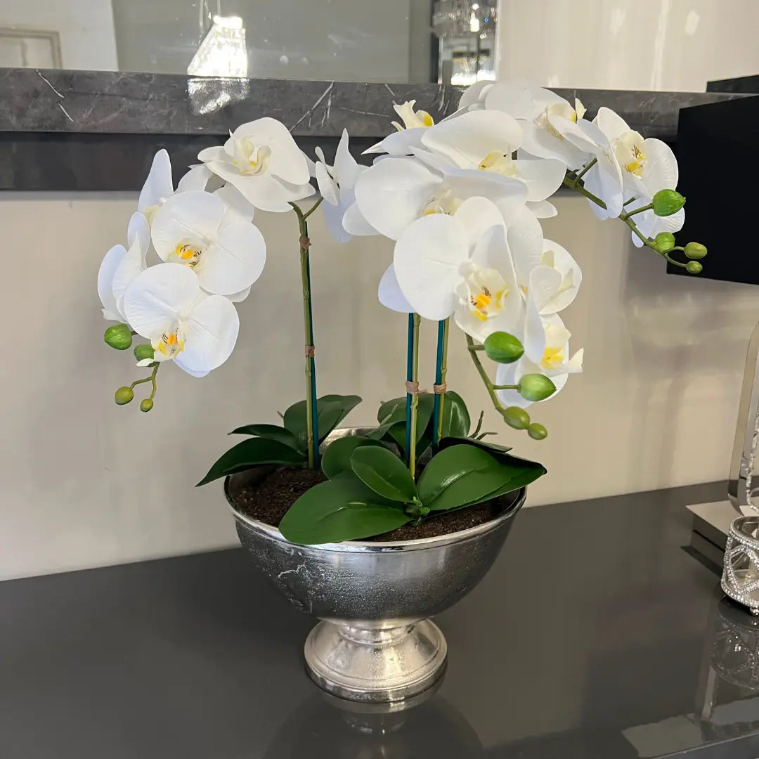 Faux White Orchid in Bamburgh Silver Pot Home Store Living