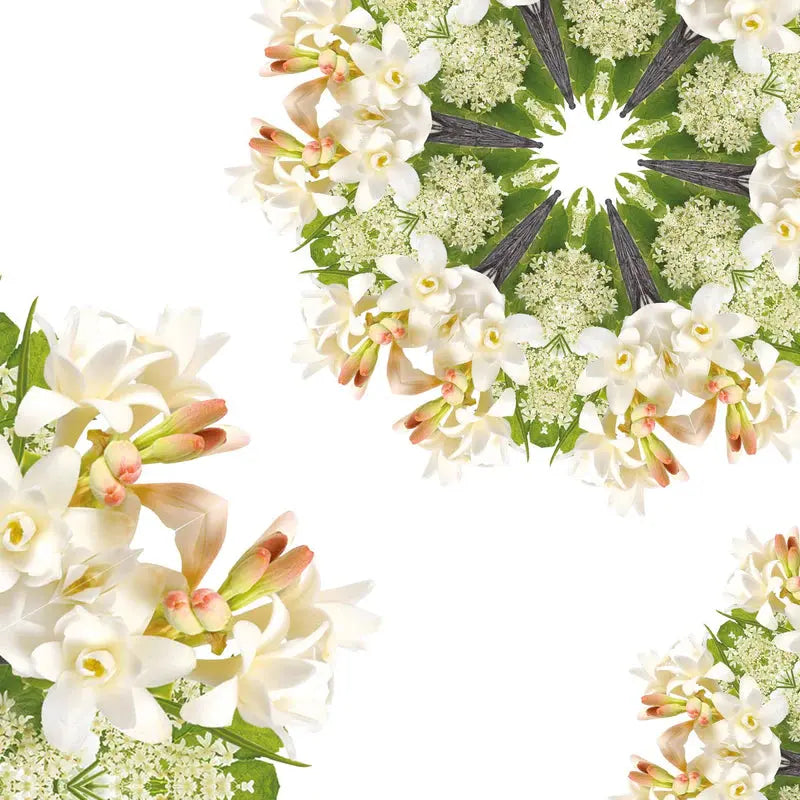 Maison Berger Black Angelica 200ml Refill Maison Berger Paris