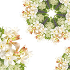 Maison Berger Black Angelica 200ml Refill Maison Berger Paris