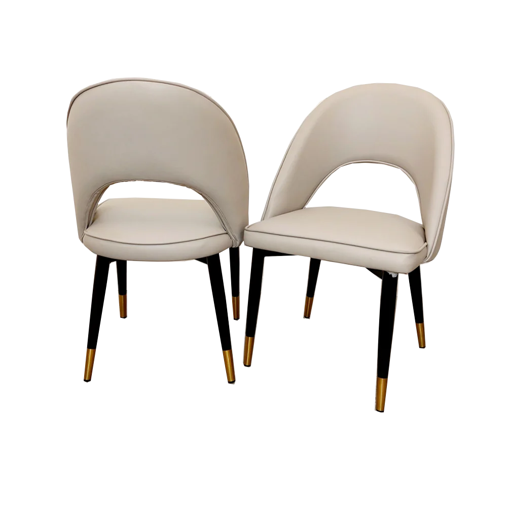 Astra Dining Chair (Set of 2) Home Store Living