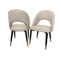 Astra Dining Chair (Set of 2) Home Store Living
