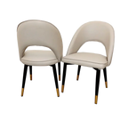 Astra Dining Chair (Set of 2) Home Store Living
