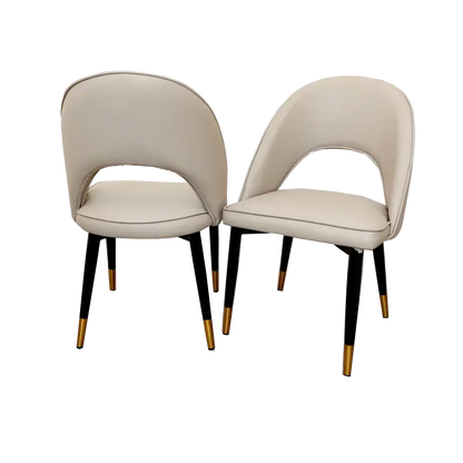 Astra Dining Chair (Set of 2) Home Store Living