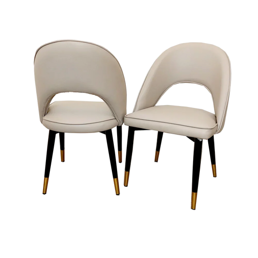 Astra Dining Chair (Set of 2) Home Store Living