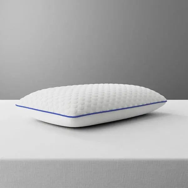 Active Cool Gel Pillow Loren WIlliams loren williams