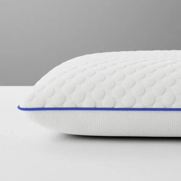 Active Cool Gel Pillow Loren WIlliams loren williams