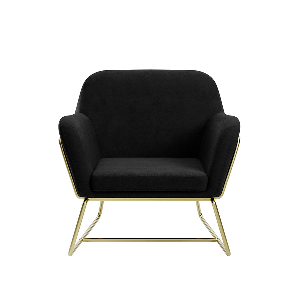 Charles Plush Velvet Accent Chair with Sleek Brushed Gold Frame LPD
