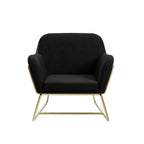 Charles Plush Velvet Accent Chair with Sleek Brushed Gold Frame LPD