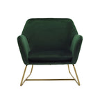Charles Plush Velvet Accent Chair with Sleek Brushed Gold Frame LPD