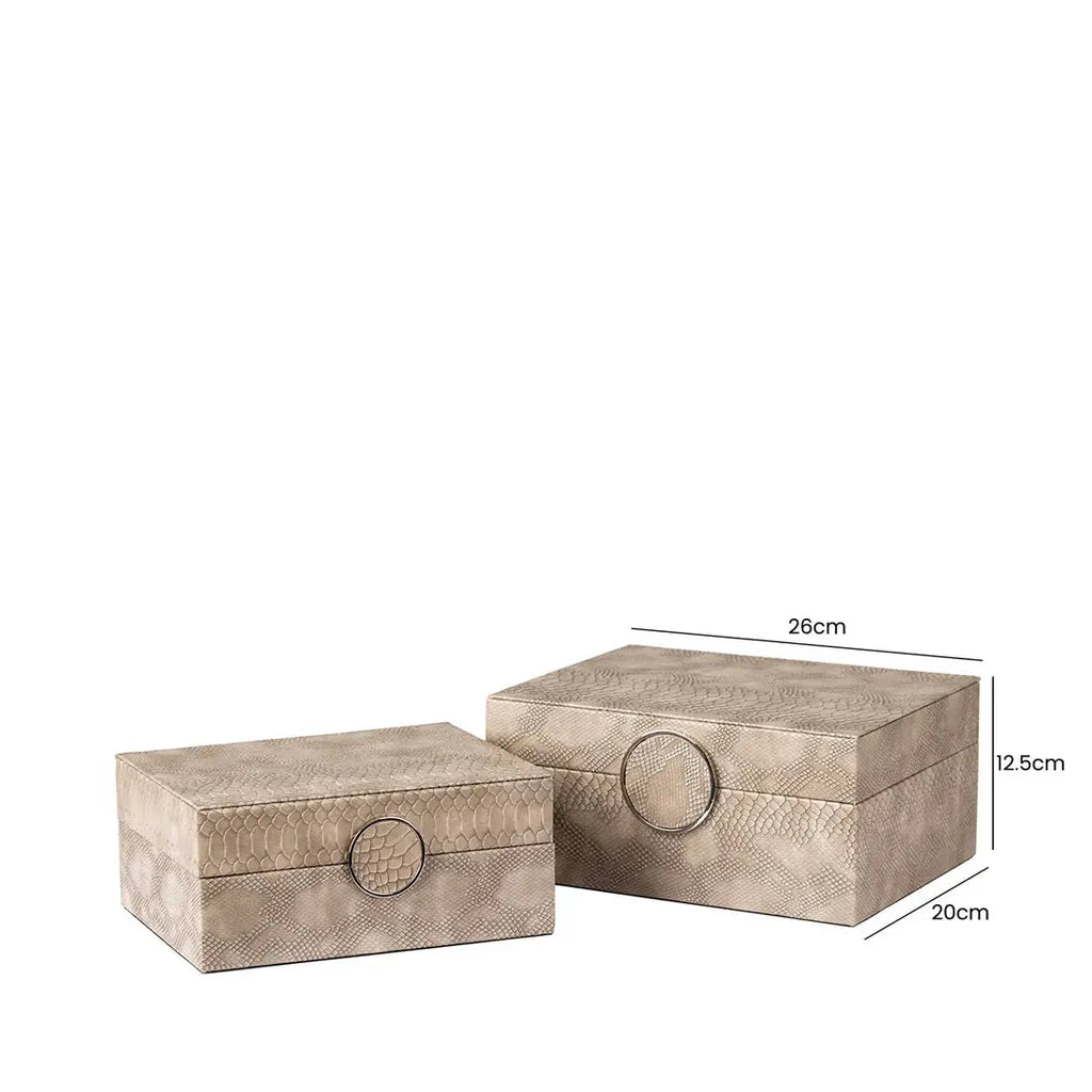 Set of 2 Taupe Faux Snake Leather Jewellery Boxes CIMC