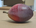 Artificial Plum Fake Fruit Decoration Coach House