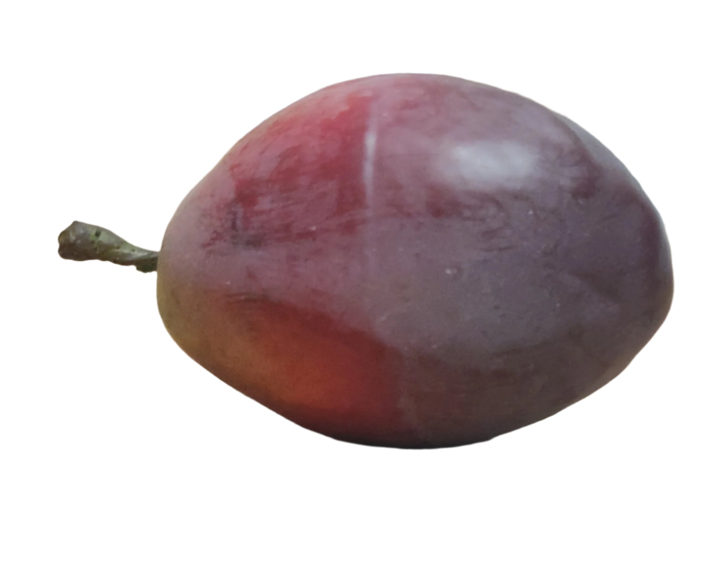 Plums KMM747 Coach House