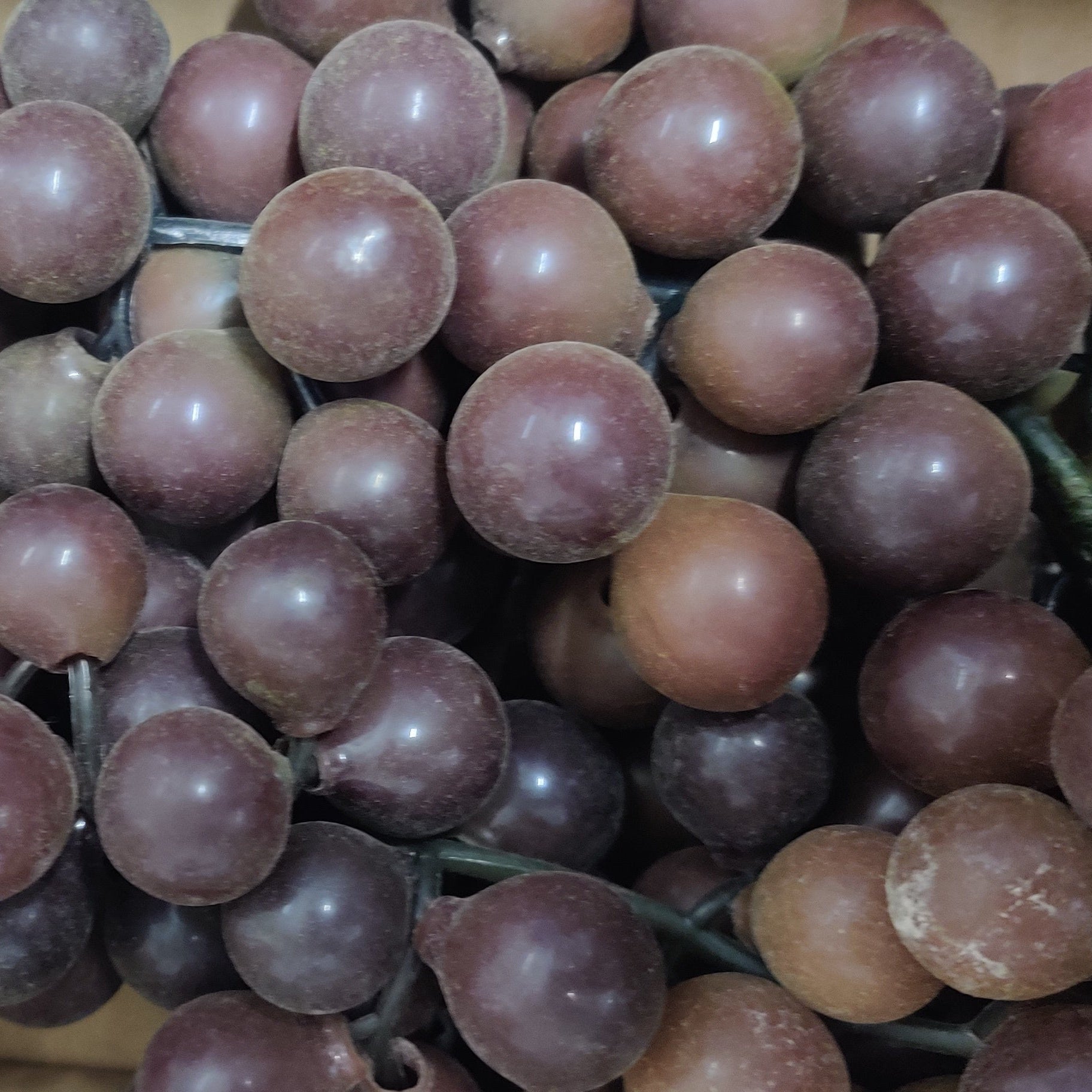 Bunch of grapes - Red Coach House