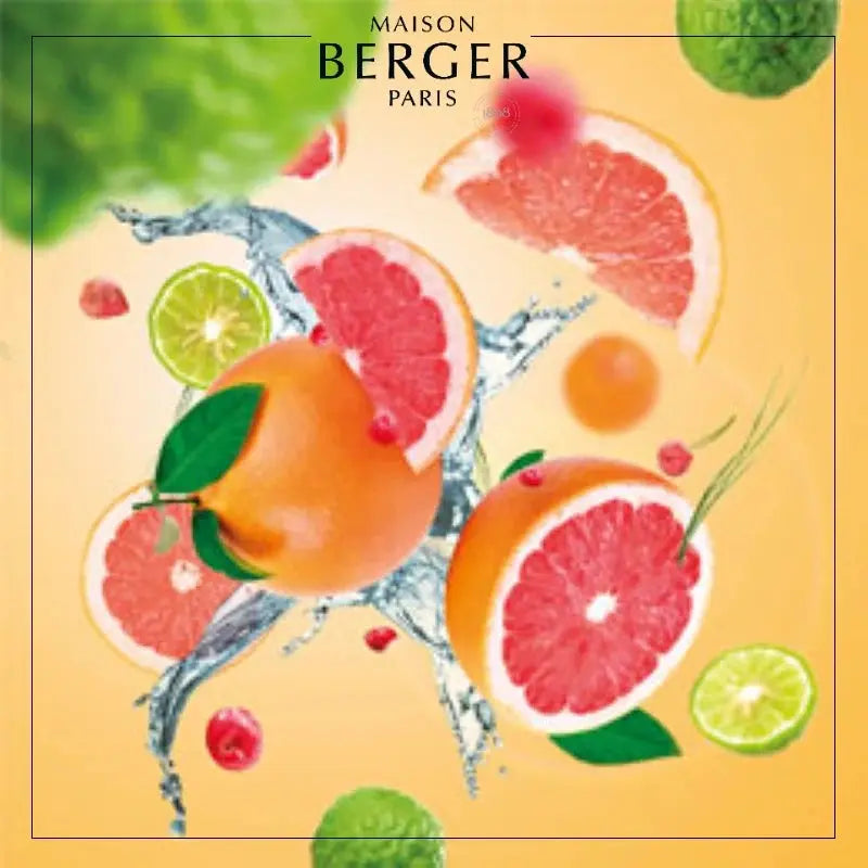 Citrus Breeze Mrs. Scented Bouquet Maison Berger Paris