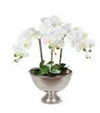 Faux White Orchid in Bamburgh Silver Pot treelocate