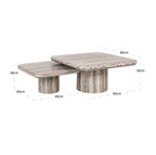 Dulce Grey Nested Coffee Table (Set of 2) Home Store Living