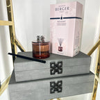 Maison Berger Paris Agaves Garden Joy Reed Diffuser home store living