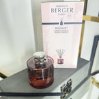 Maison Berger Paris Agaves Garden Joy Reed Diffuser home store living