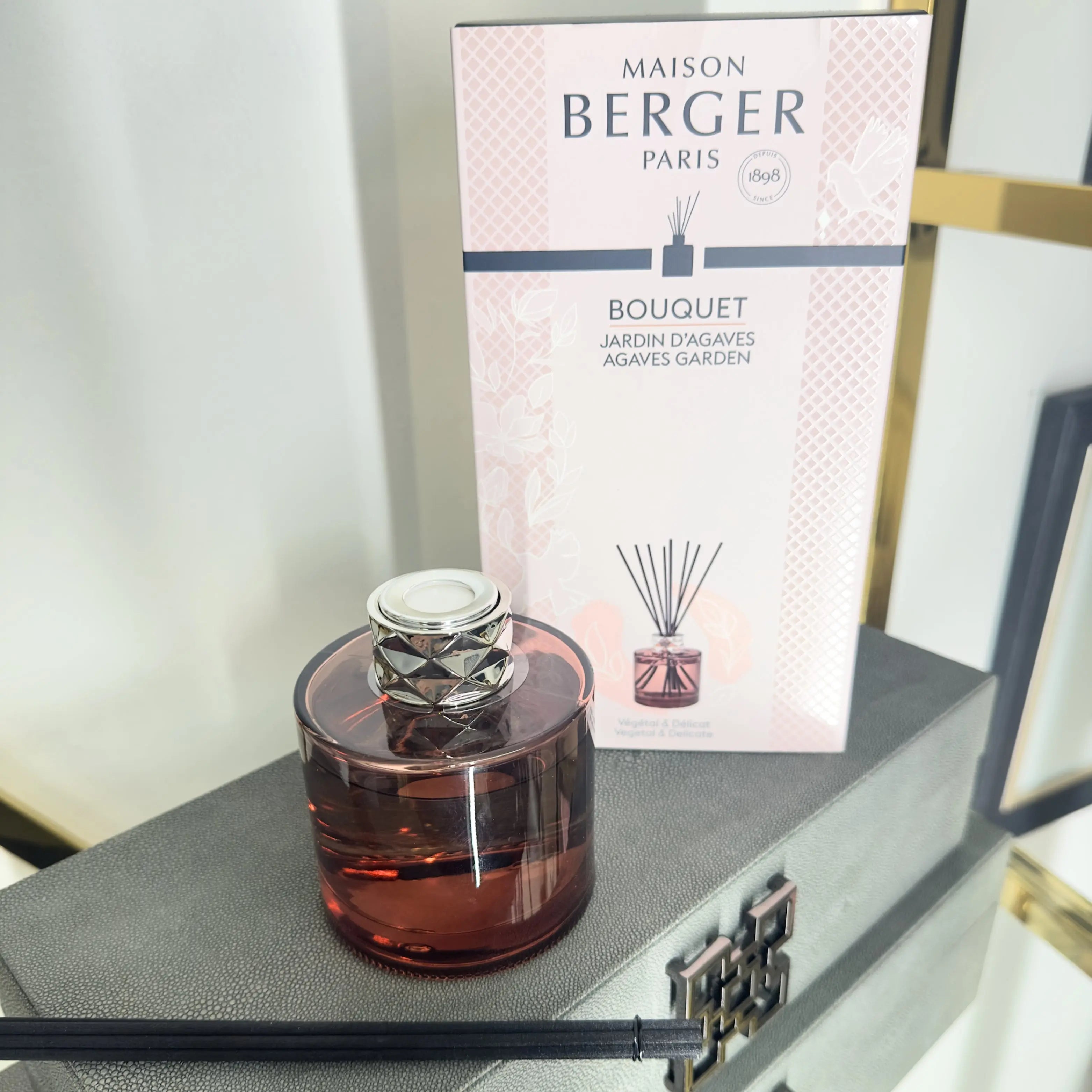 Maison Berger Paris Agaves Garden Joy Reed Diffuser home store living