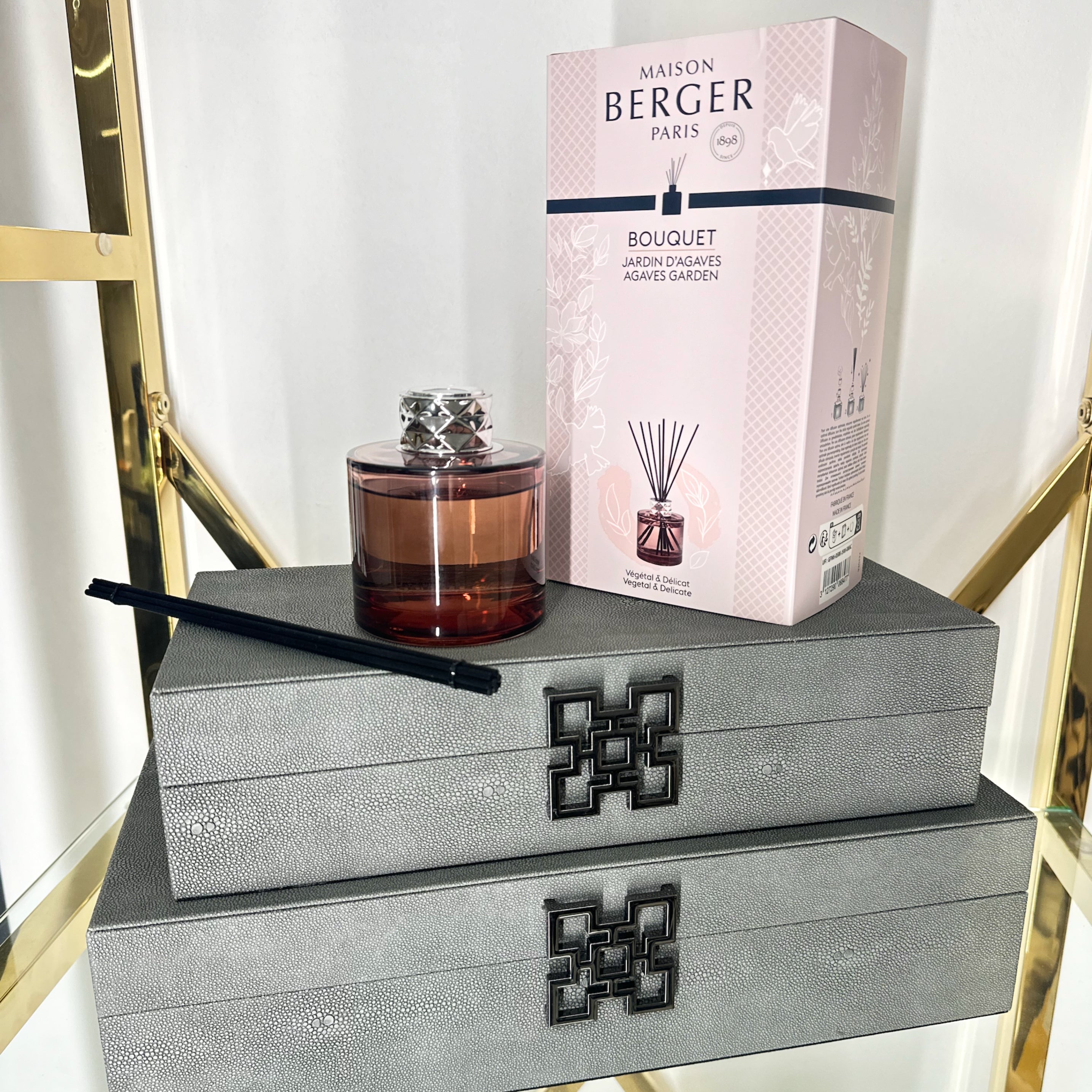 Maison Berger Paris Agaves Garden Joy Scented Reed Diffuser home store living