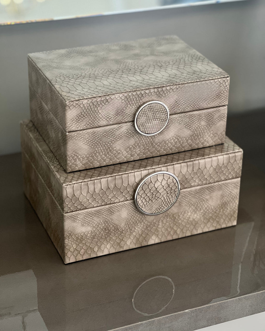 Taupe Faux Snake Leather Storage Boxes (Set of 2) CIMC