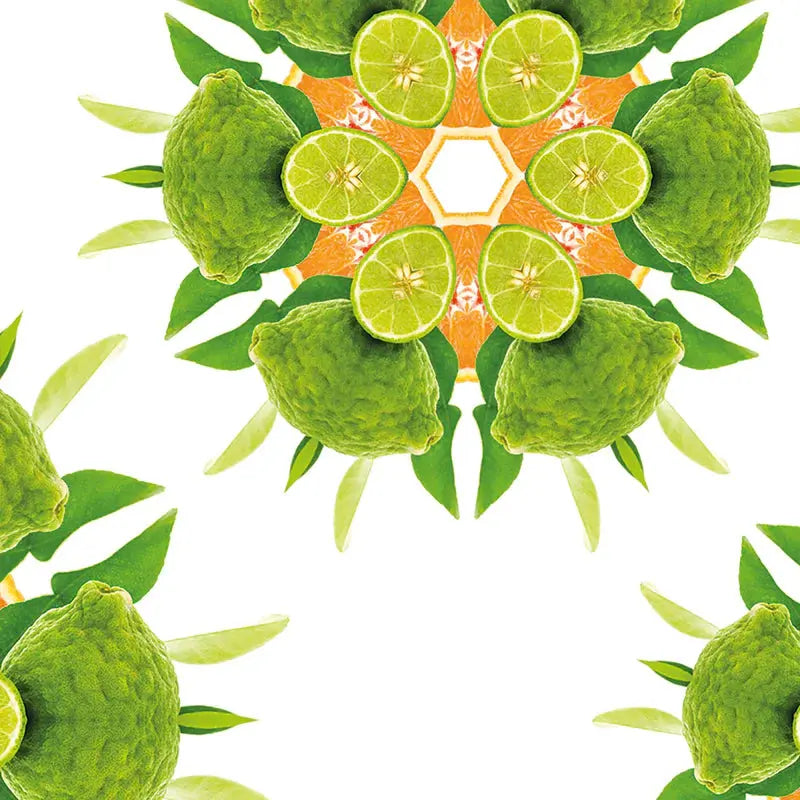 Maison Berger Zest of Green Orange Refill 500ml Maison Berger Paris