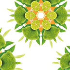 Maison Berger Zest of Green Orange Refill 500ml Maison Berger Paris