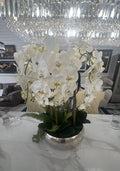 The Bella Silver Orchid. bespoke handmade ROSS