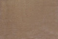 Coco Velvet Gold Fabric Sample Home Store Living