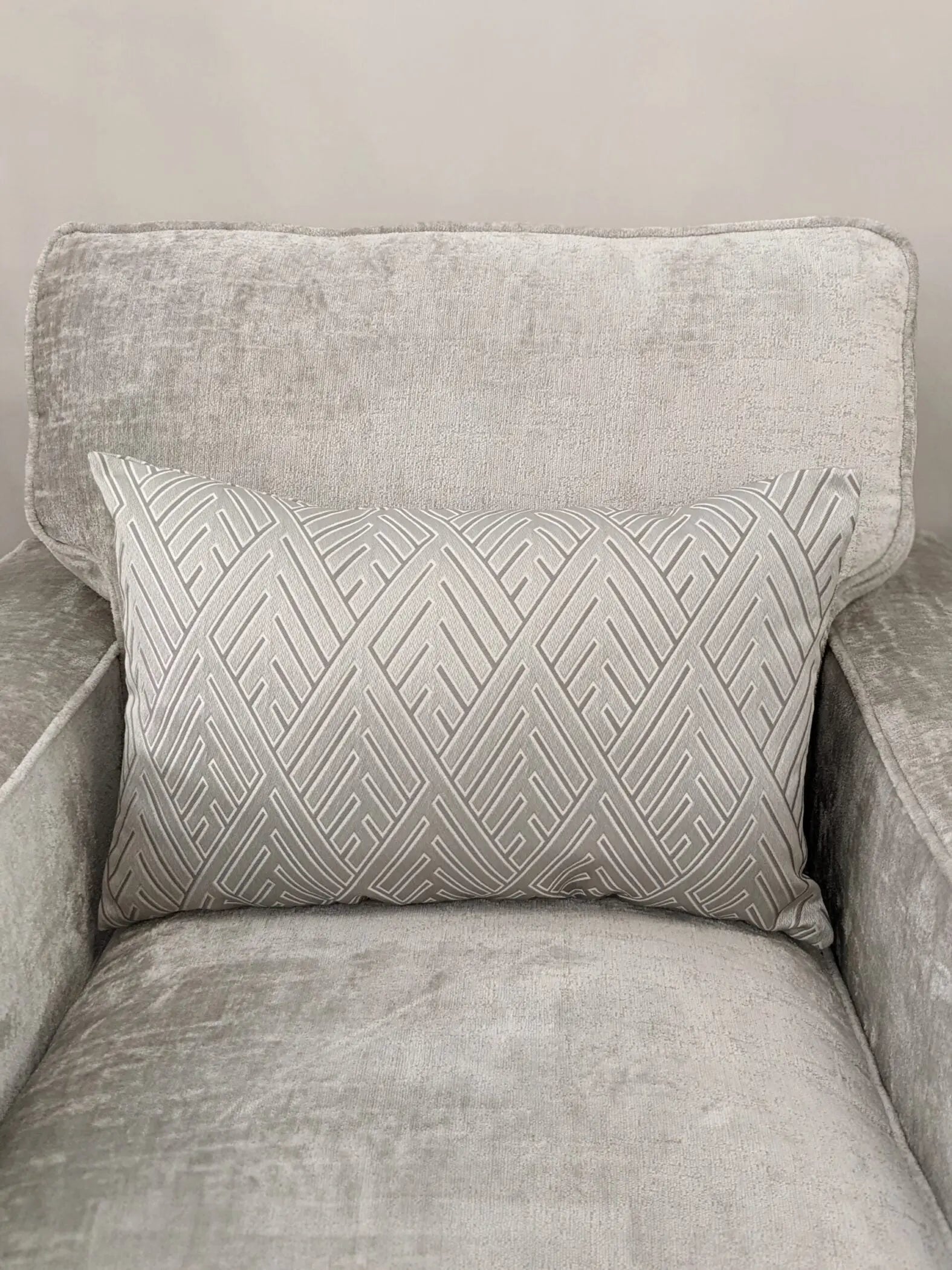 Demeter Geometric Rectangular Cushion in Mercury Home Store Living