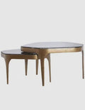 Coffee table S/2 max 77x70x42 cm AVI glass smoke+ant bronze Light and Living