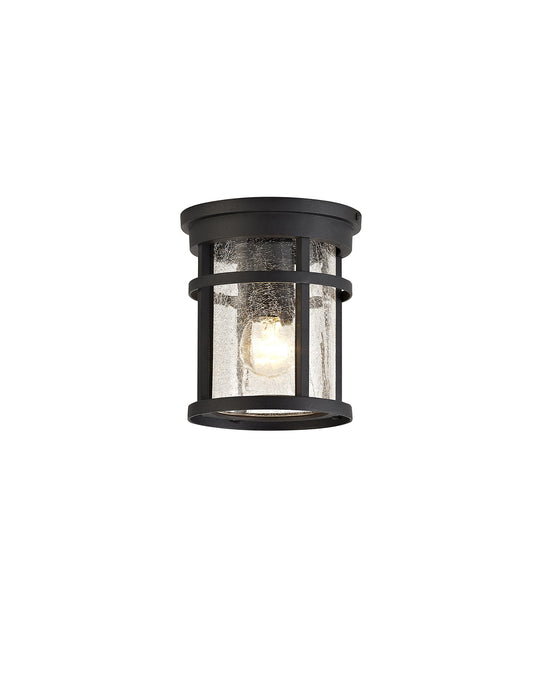 Emily Ceiling, 1 x E27, Black/Clear Crackled Glass, IP54, 2yrs Warranty Home Store Living