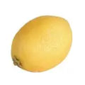 Artificial Lemon Fake Fruit Decoration Coach House