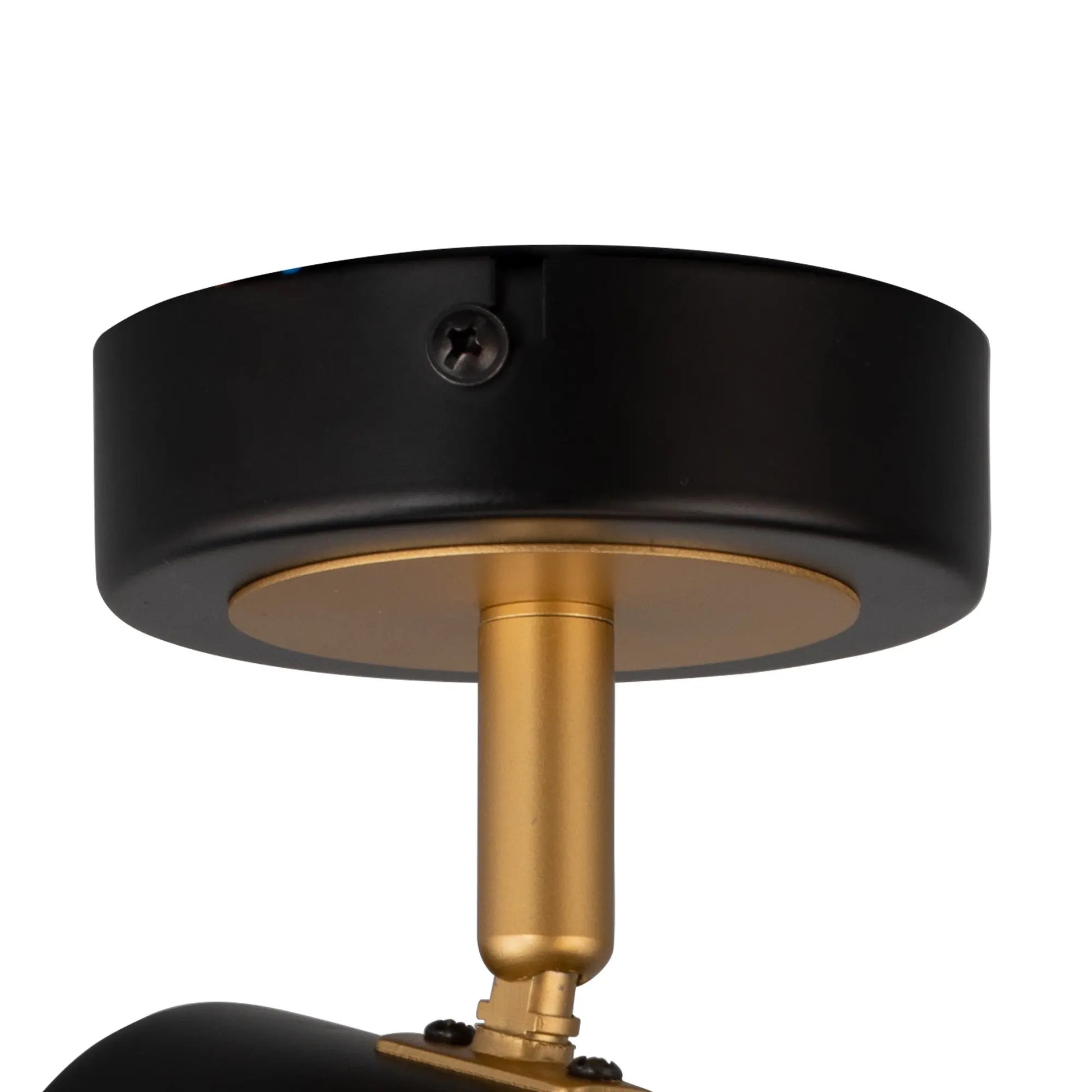 Sofia 1 Light Spotlight GU10, Black / Painted Gold Home Store Living