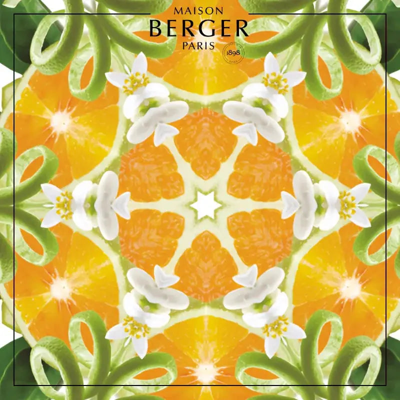 Maison Berger Savory Tangerine, Zest of Green Orange & Radiant Bergamot Refill 3 Pack Maison Berger Paris