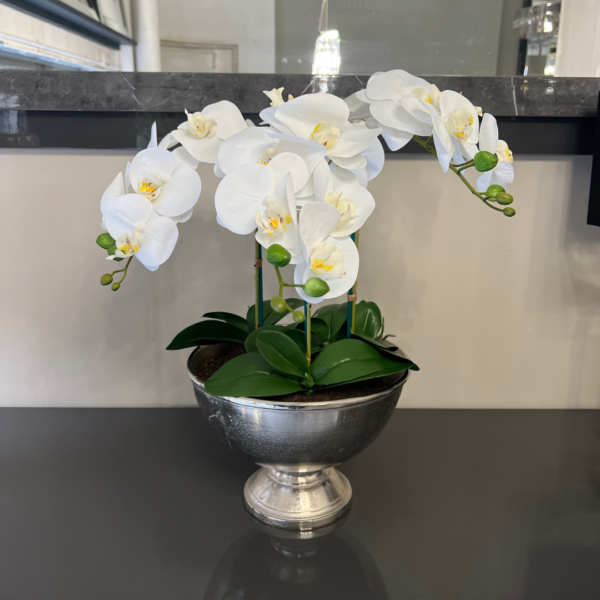 Faux White Orchid in Bamburgh Silver Pot